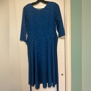 Karina Dress-Fit and Flair-Modest-Excellent Condition